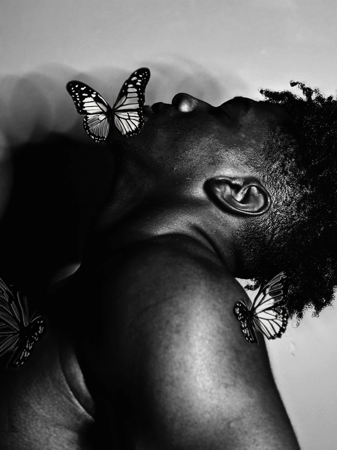 Portrait / Editorial